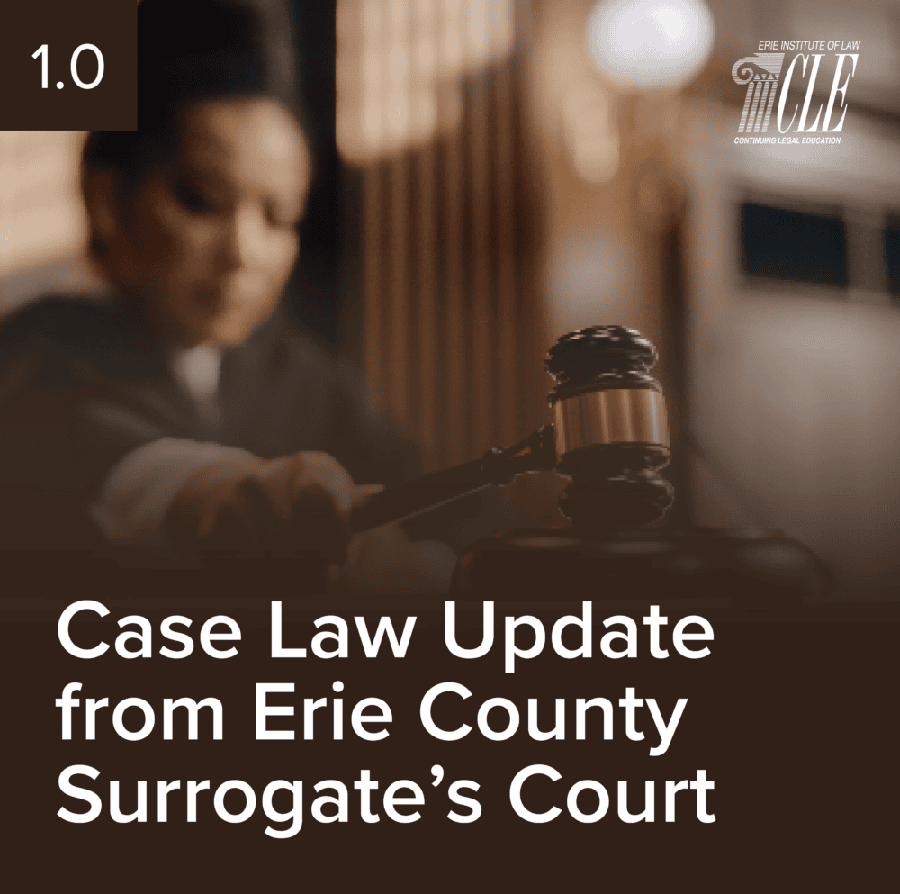 #2481 Case Law Update from Erie County Surrogate's Court 2024